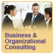 Business and Organizational Consulting